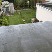 IMG 0355