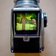 DSF1890