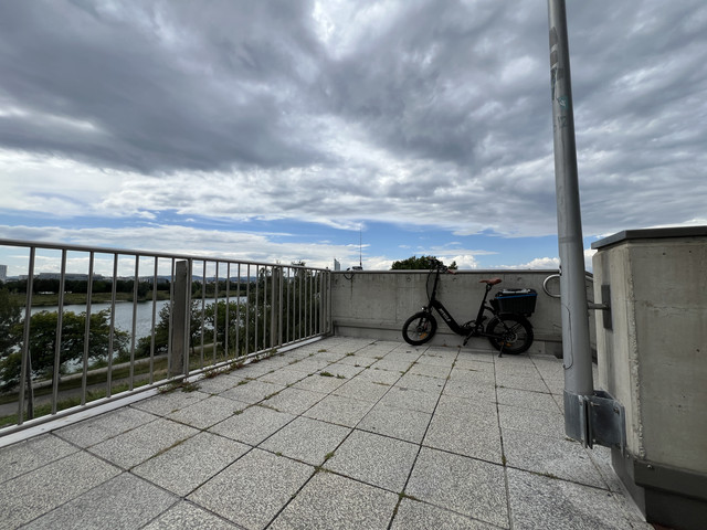 IMG-8784.jpg
