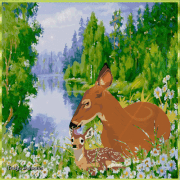 12.gif