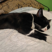 IMG 20260322 060728