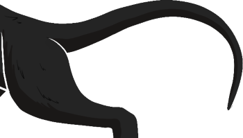 [Image: jay-tail2.png]