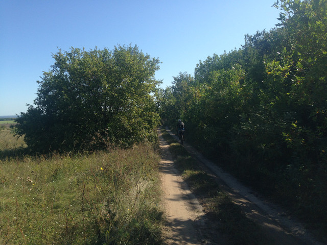 IMG-4149.jpg