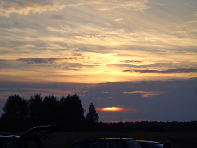 DSC01311.jpg