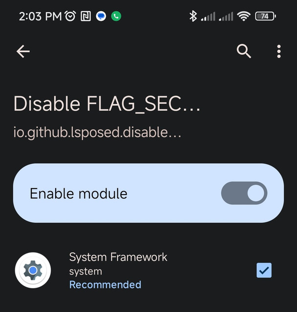 diable-flag-sec-2