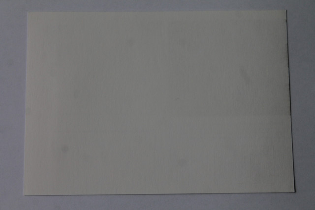 IMG-4969.jpg