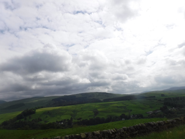 DSCF7925.jpg