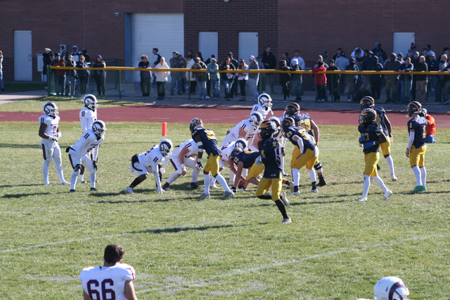IMG-2920.jpg