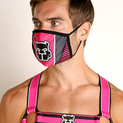 Pink-Harness