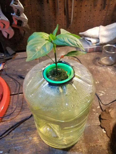 20191123_084017.jpg