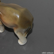 IMG-9192