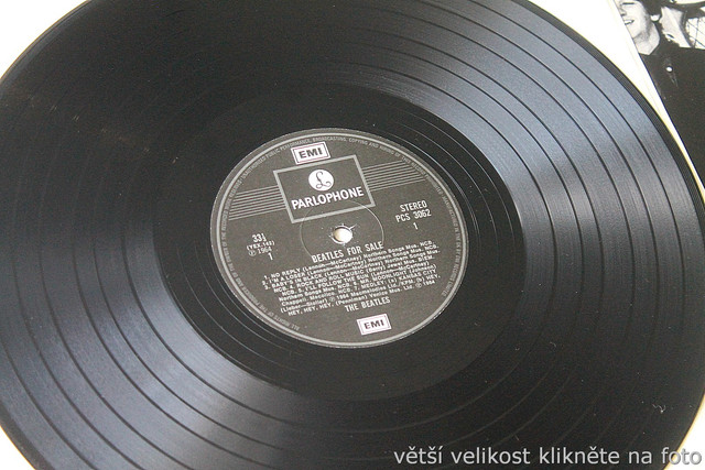 IMG-9887.jpg
