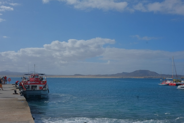 DSCF8651.jpg