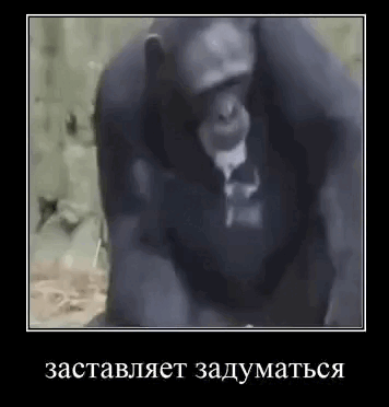 video-3.gif