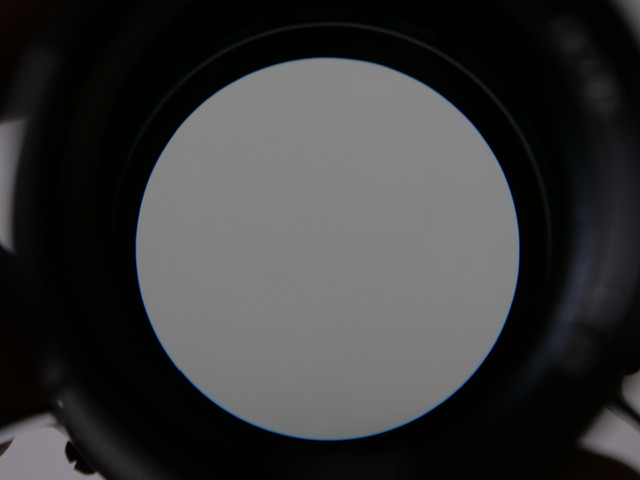 P1144695.jpg