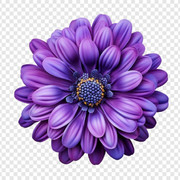 01-1155