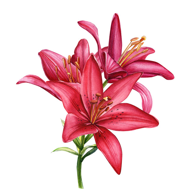 shutterstock 1190094319.jpg