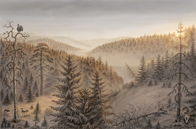 Фон3.jpg