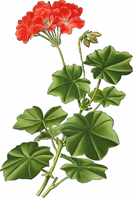 Abstract Verdant Foliage.jpg