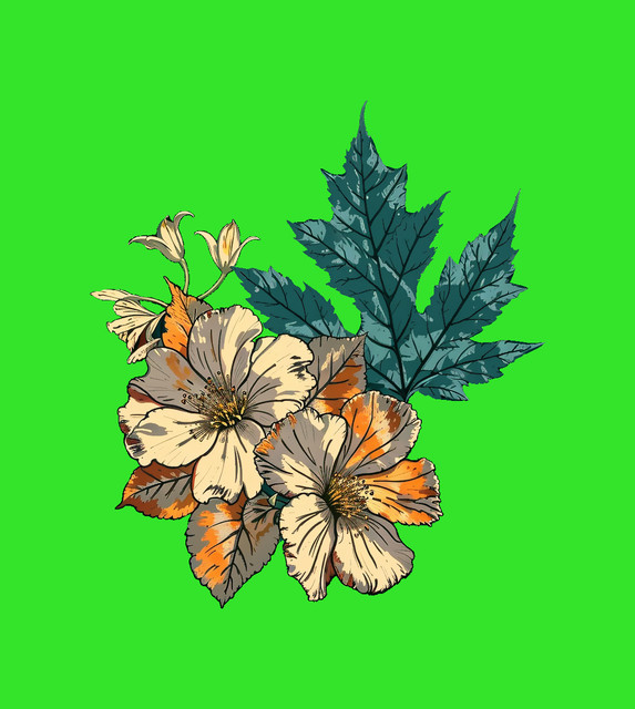097cc66ca4.jpg