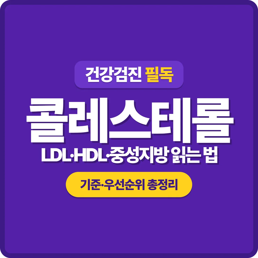 콜레스테롤 수치 읽는 법 LDL HDL 중성지방 기준 썸네일