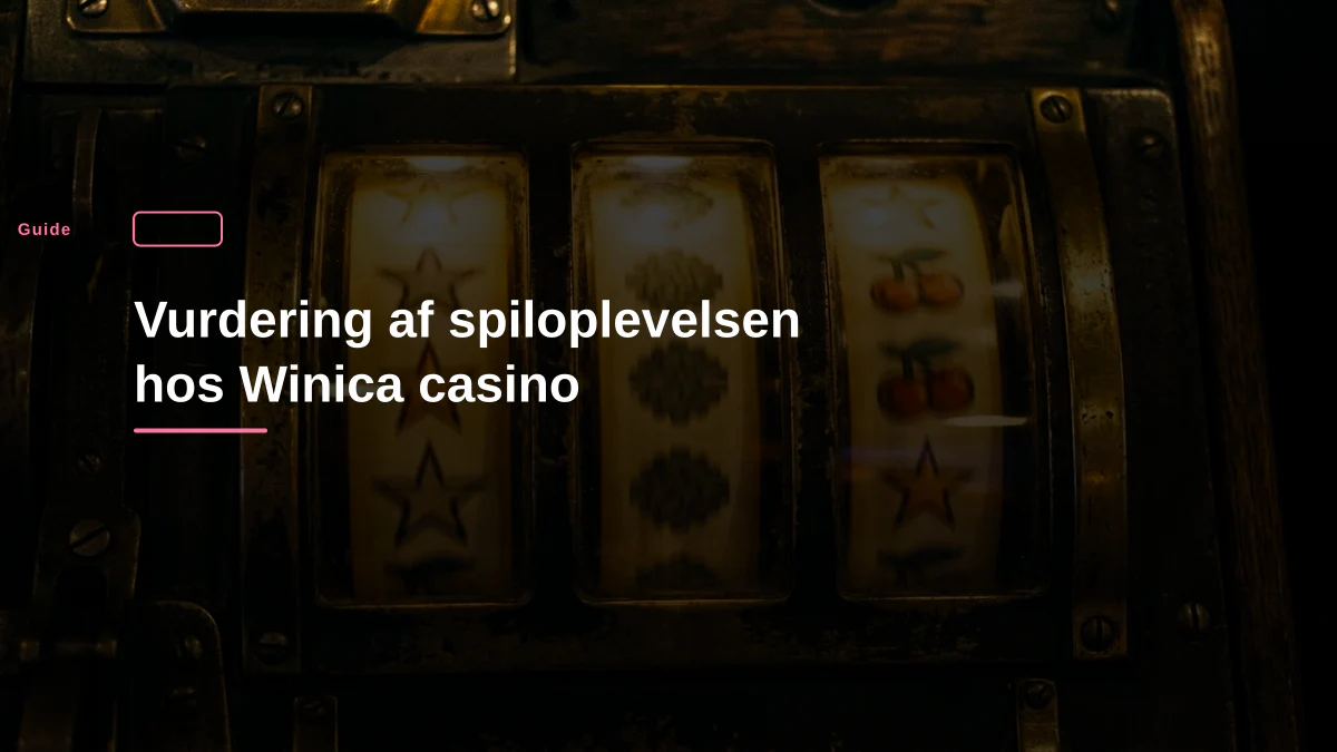 Vurdering af spiloplevelsen hos Winica casino