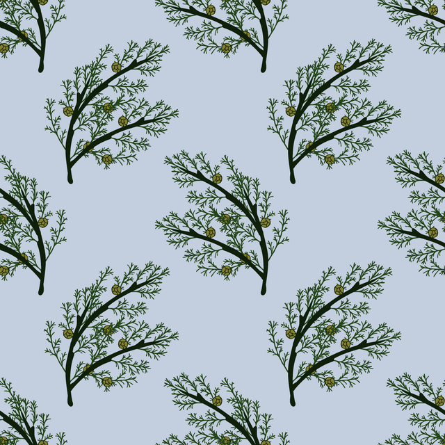 3d40ac05d9c72cb6be54eccc04d5b460.png