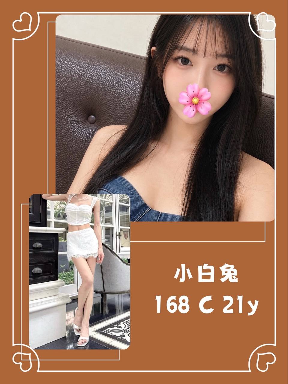 小白兔圖片