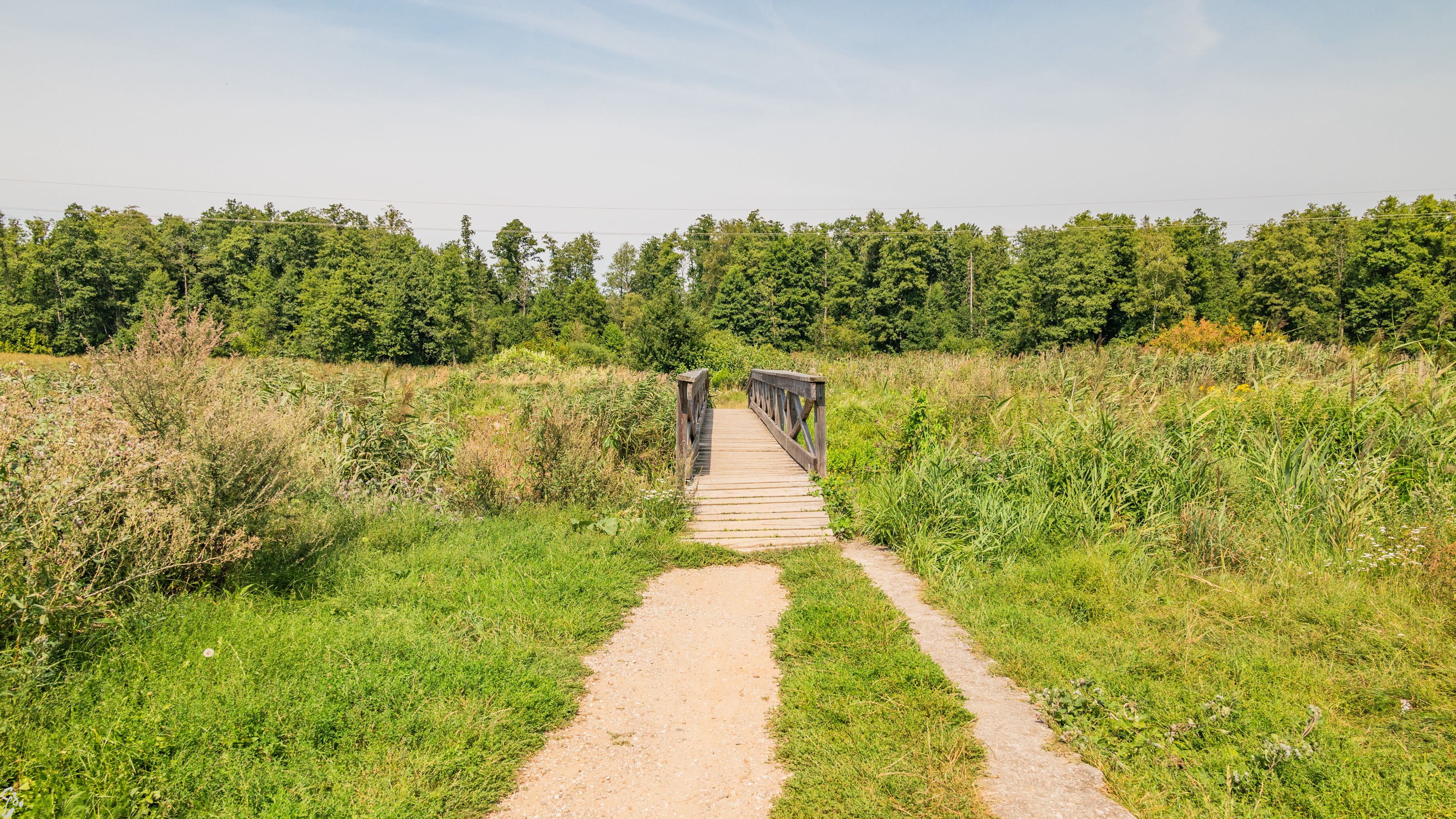 podlasie3 d4 19