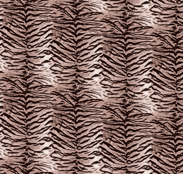 shutterstock 2382145385.jpg