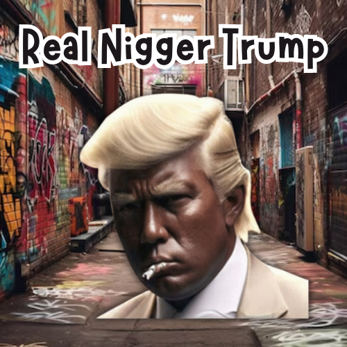 $NIGGERT token logo