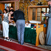 Pic 242