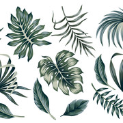 shutterstock 1166519440