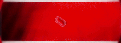 Seeven Studio banner