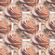 0Vkh OTl SNpgd