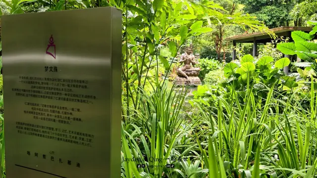克切拉禅修林16.webp