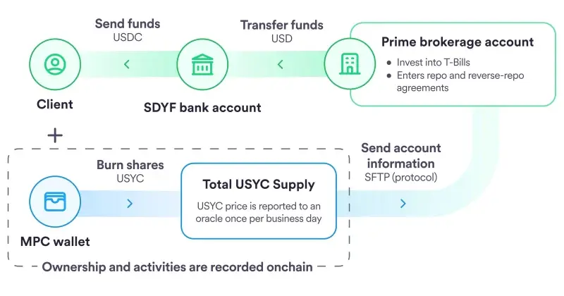 Tokenized Funds to Have Limited Stablecoin Market Share