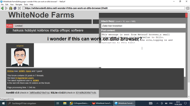 netsurf screenshot