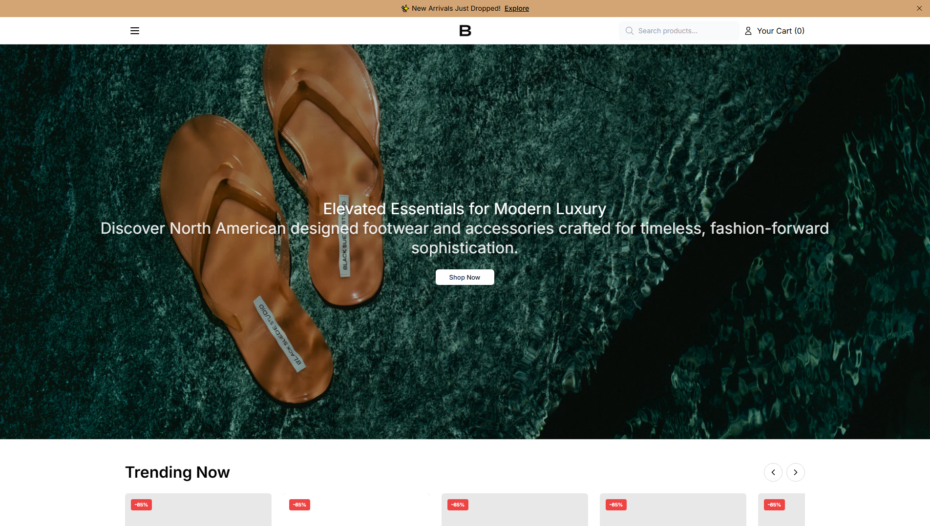 Primary capture · blacksuedestudioshop.shop