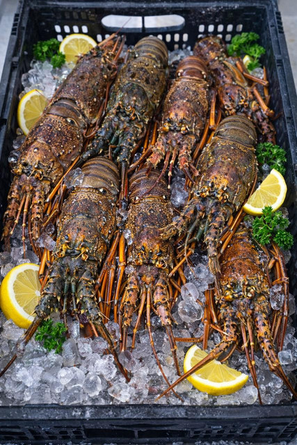 Local fresh fish display on ice