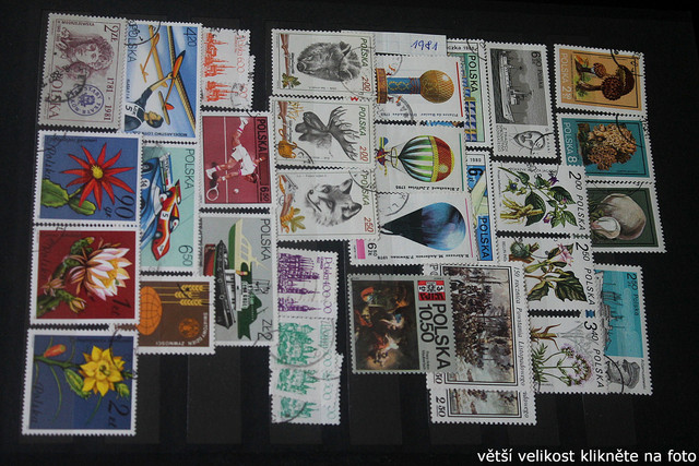 IMG-3424.jpg