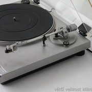 IMG-5524