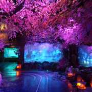 IMG 20260328 112708