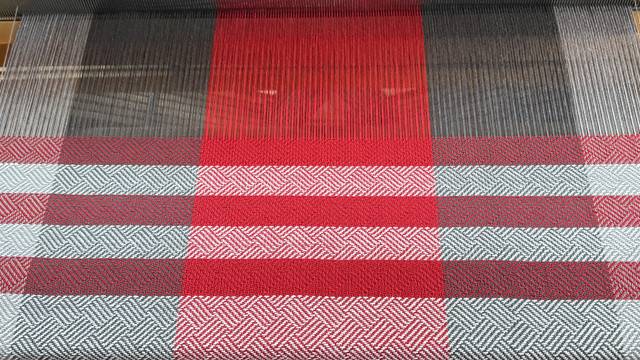 IMG 3157.jpg
