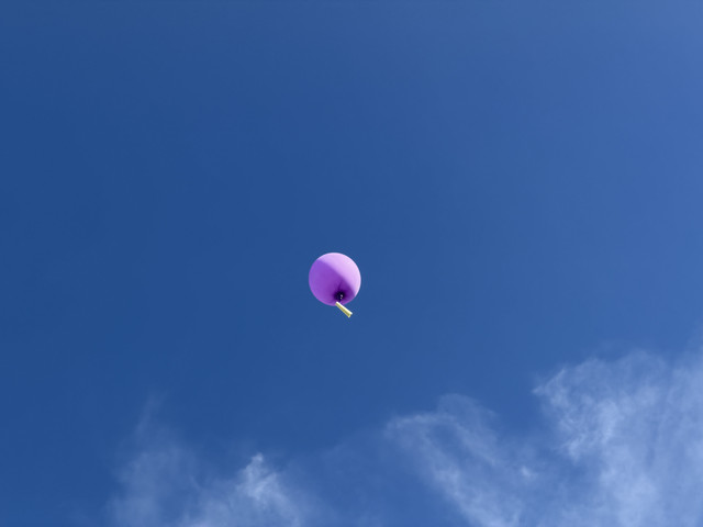 IMG 4112.jpg