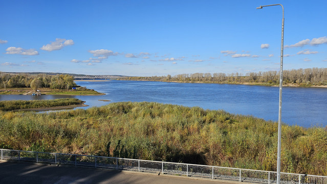 20261009-131354.jpg