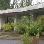 OLYMPUS-DIGITAL-CAMERA