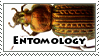 IMG 5662.png
