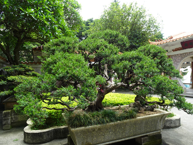 DSC00582.jpg