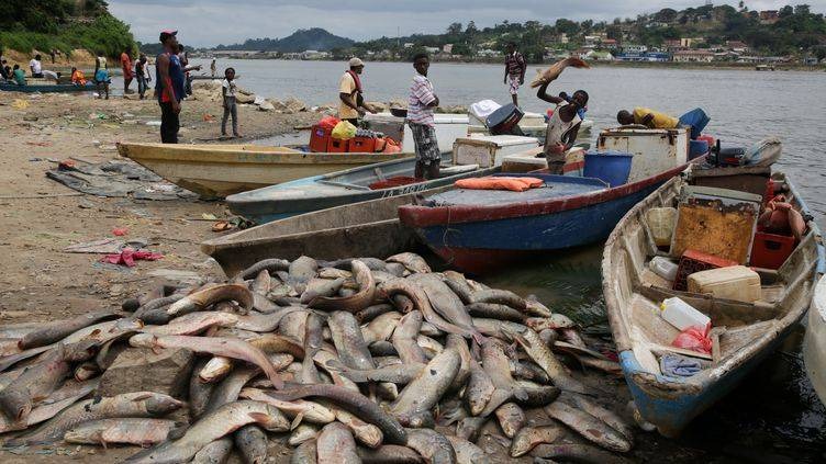Illustration - Le Togo mise 20 milliards FCFA pour ne plus dépendre du poisson importé